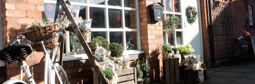 Flowers by Peggy Marie