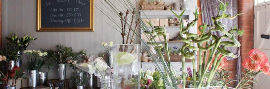 Flowers by Peggy Marie